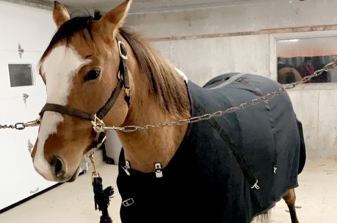 C'est l'heure du repos.