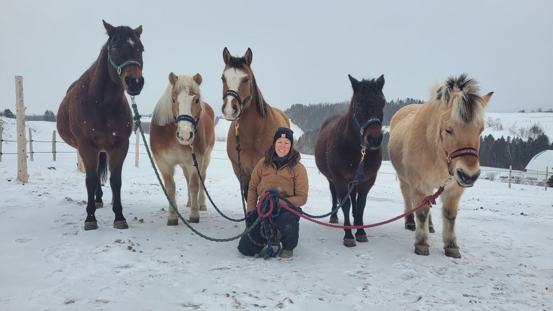 L'quipe pour vous servir