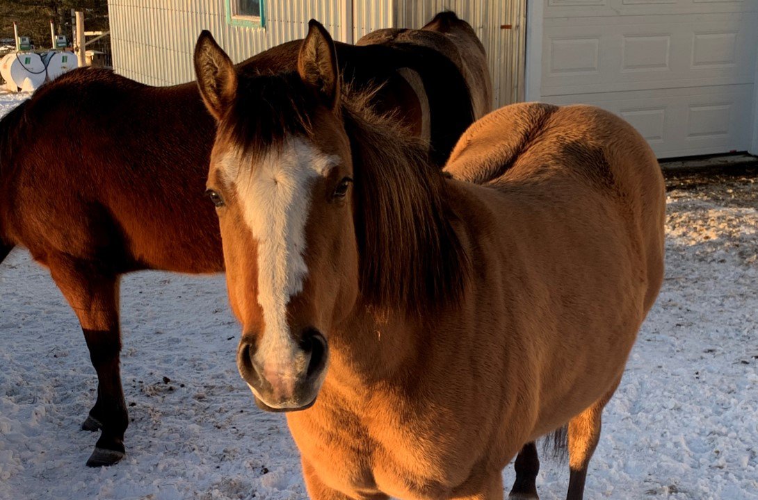 J.Holly.Doc.Star, 5 ans