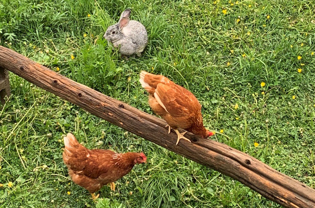 a fait du bien de la pluie.