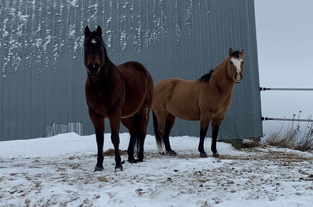 Les amoureux Nadji & JHolly.